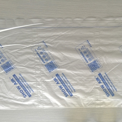 Blue print air pillow